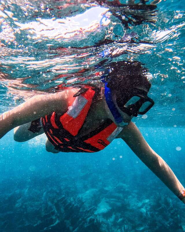 Tulum: 2-Hour Snorkeling in Two Spots of Tulum's Reef - Who will get the most from this Tulum snorkel trip