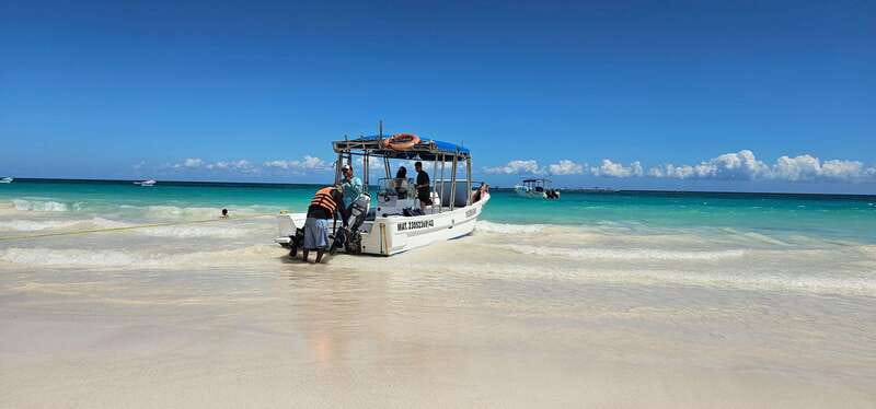 Tulum: 2-Hour Snorkeling in Two Spots of Tulum's Reef - Leaving from the beach near Tulum’s ruins