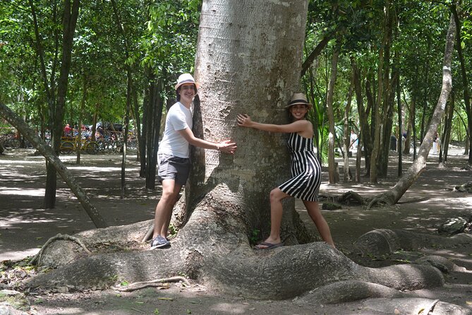 TULUM 4x1 : Archaeological Site, Cenote, 5th Avenue and lunch - Regional Mayan lunch, with drinks extra
