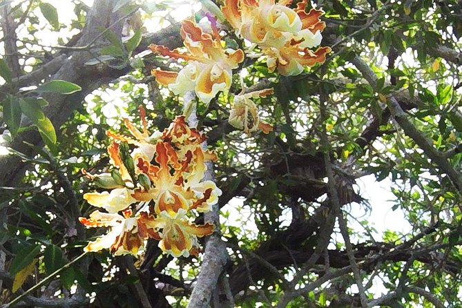 Tulum Archaeological Site & Sian Ka'an Muyil Tour from Tulum - Who will enjoy this six-hour outing?