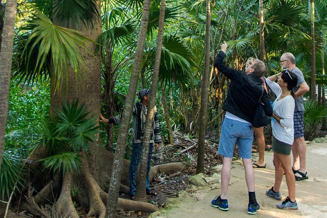 Tulum Bike Tour Tulum Maya Ruins Cenote Swimming Pueblo History Art Tacos Lunch - Mayan bees and a quieter side of Yucatan culture