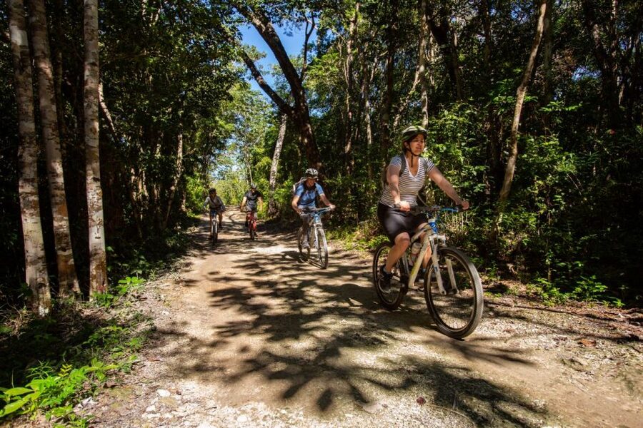 Tulum: Cenote Trail Bike Tour - Cenote Cristal and Cenote Escondido