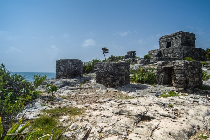 Tulum, Coba, Cenote, and Mayan Ceremony Full-Day Tour plus Lunch - A swim at Cenote Mariposa