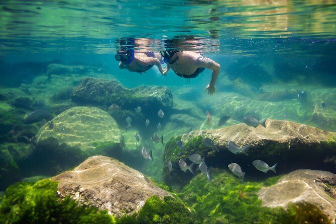 Tulum Guided Tour, Magical Cenote, Lagoon Snorkeling and Beachside Lunch - What to pack for this particular tour