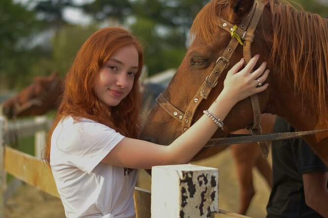 Tulum Jungle Horseback Ride + ATV + Ziplines + Cenote Combo Tour - Key points to know before booking