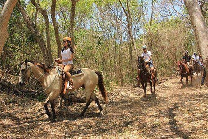 Tulum Jungle Horseback Ride + ATV + Ziplines + Cenote Combo Tour - Four ziplines, including a 1-kilometer run