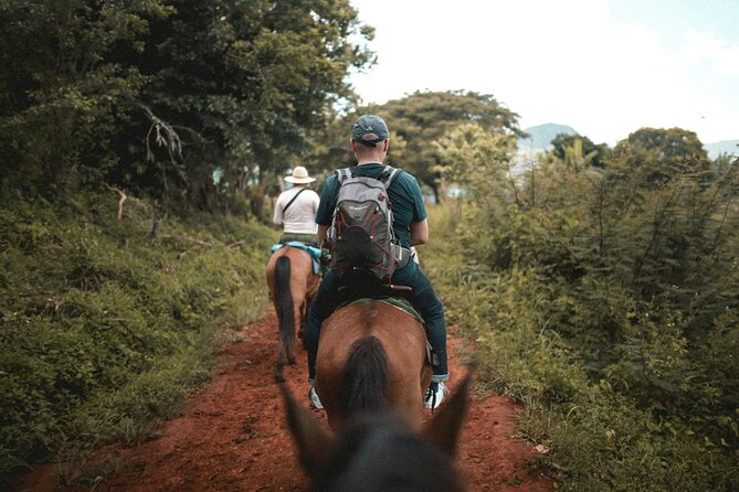 Tulum Jungle Horseback Ride + ATV + Ziplines + Cenote Combo Tour - Rappelling and the Mayan ceremony