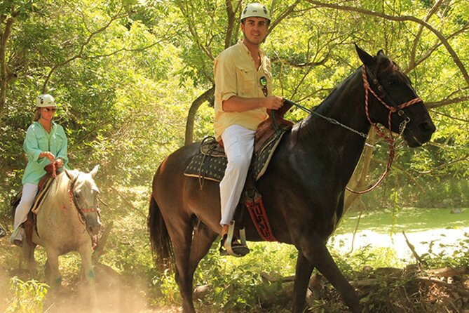 Tulum Jungle Horseback Ride + ATV + Ziplines + Cenote Combo Tour - What to expect from the horses