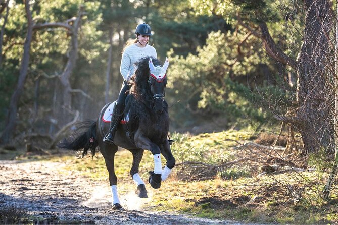 Tulum Jungle Horseback Ride + ATV + Ziplines + Cenote Combo Tour - The 20-kilometer ATV ride