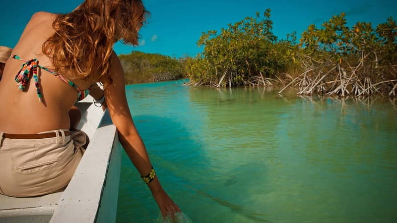 Tulum: Mayan Ruins & Sian Kaan Tour with Boat Ride and Lunch - What the guide adds to the day