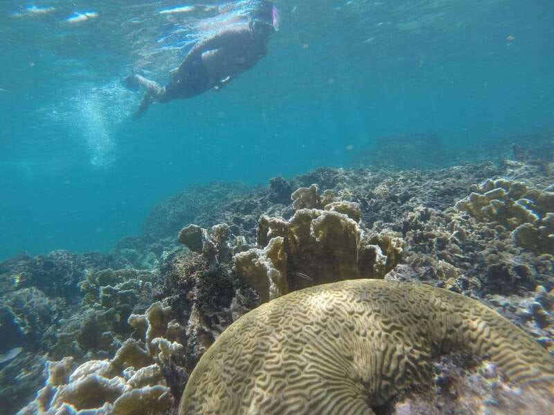 Tulum: Private Snorkel and Sailing Experience - A short sail with two very different rewards