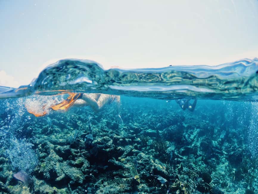 Tulum: Private Snorkel and Sailing Experience - Should you book the private Tulum sail and snorkel?