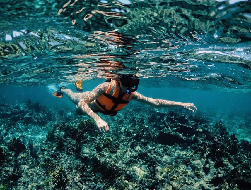 Tulum: Private Snorkel and Sailing Experience - Returning to Pocna for a snack and beach time