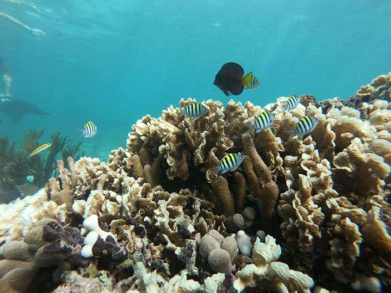 Tulum: Private Snorkel and Sailing Experience - Who will enjoy this most