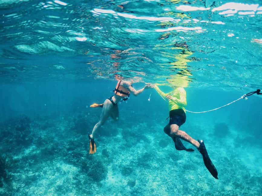 Tulum: Private Snorkel and Sailing Experience - Small details that improve the day