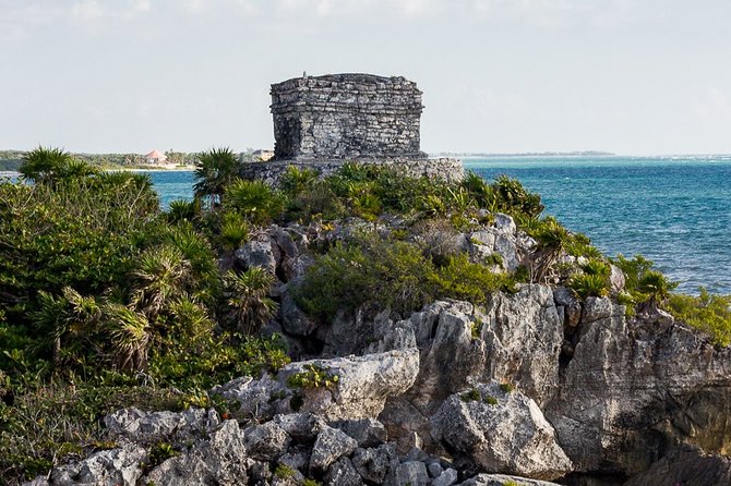 Tulum Ruins & Cenote guided private tour from Tulum and Riviera Maya. - Moving from ruins to an underground cenote