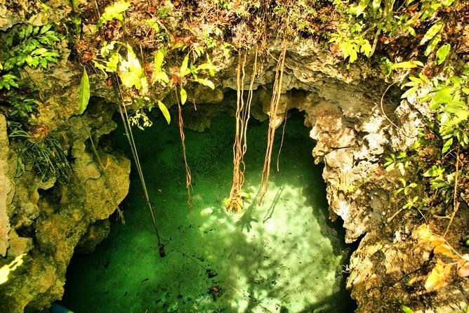 Tulum Ruins & Cenote guided private tour from Tulum and Riviera Maya. - Expect a quieter water stop, not a resort pool