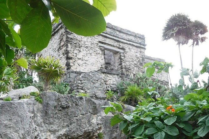 Tulum Ruins Tour (Private, Half Day) - What Rodrigo and Eli add to the visit