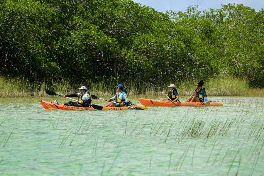 Tulum: Sian Ka'an Biosphere Reserve Kayak Tour - Key points at a glance