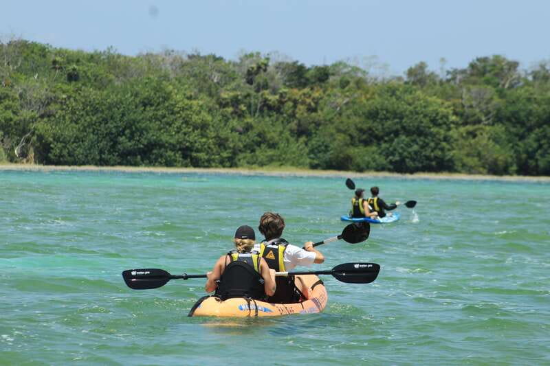 Tulum: Sian Ka'an Biosphere Reserve Kayak Tour - Birds, crocodiles, and realistic wildlife hopes