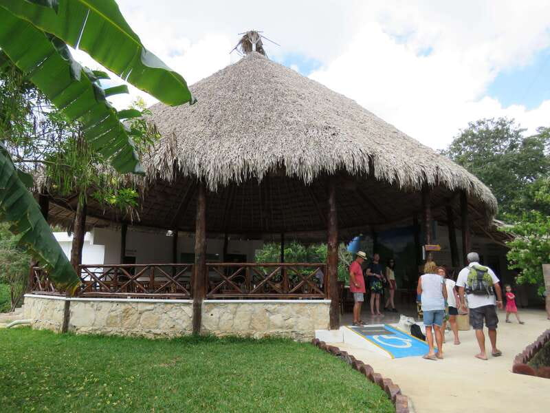 Tulum: Sian Ka'an Biosphere Reserve Kayak Tour - Who should book, and who should skip it