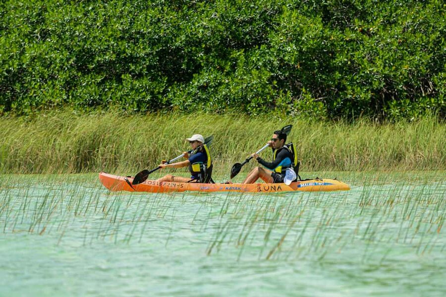 Tulum: Sian Ka'an Biosphere Reserve Kayak Tour - Should you book this Sian Ka’an kayak tour?