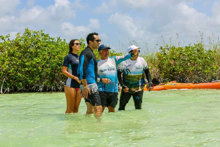 Tulum: Sian Ka'an Biosphere Reserve Kayak Tour - From Tulum to the Mayan palapa