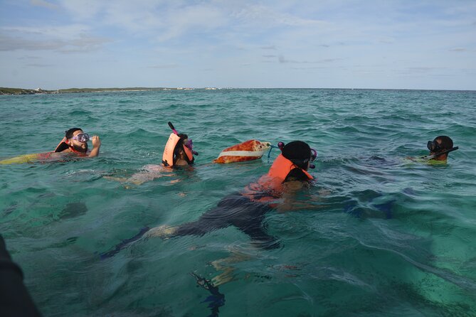 Tulum: Snorkeling and Private Sailing Tour - Equipment tips that can save the snorkel