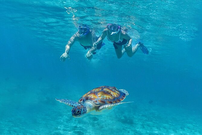 Tulum, Snorkeling with Sea Turtles, Cenote and Beachside Lunch - Tulum ruins: dramatic views, hot stone, and Maya history