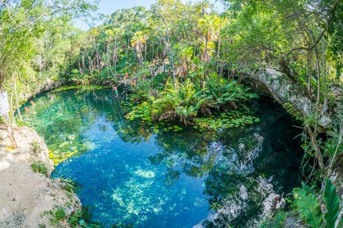 Turtle Encounter Private Tour – Swim with Sea Turtles & Cenote - The private guide changes the pace