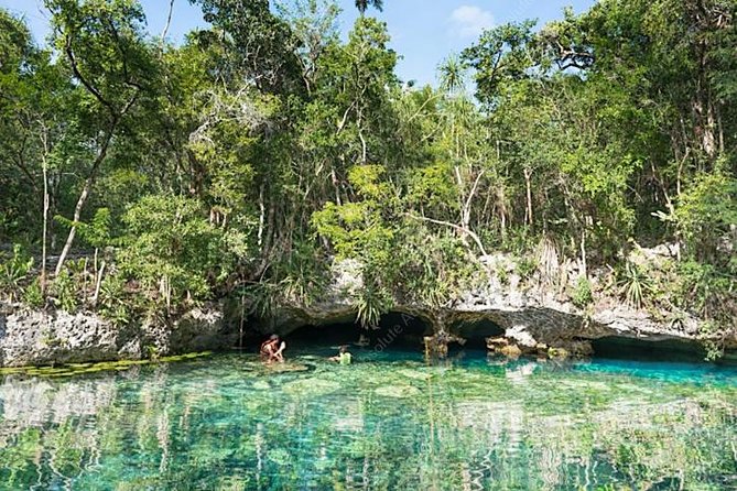 Turtle Encounter Private Tour – Swim with Sea Turtles & Cenote - Pickup, timing, and practical details
