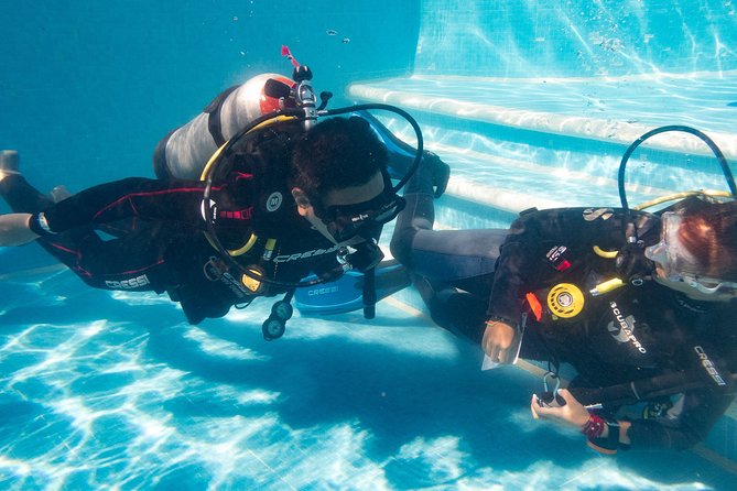 Two reef discovery dives with professional instructor (no experience necessary) - The midday break before the boat trip