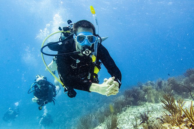 Two reef discovery dives with professional instructor (no experience necessary) - The online material and medical check