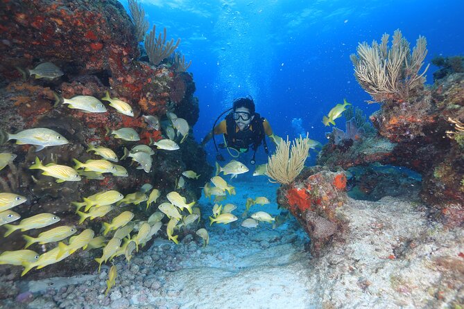 Two Tanks Scuba Diving for Beginners in Cancun - The 8 a.m. start at Hotel Sotavento