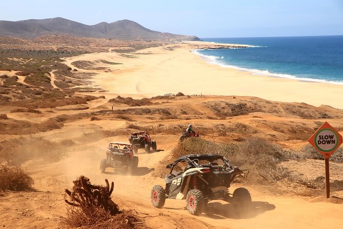 UTV 4X4 Cabo Adventure, Beach Ride & Tequila Tasting - Who will enjoy this Cabo UTV tour?