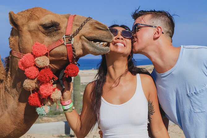 UTV Adventure with Free Camel Ride and Sky Bikes - Three Cabo adventures in one morning