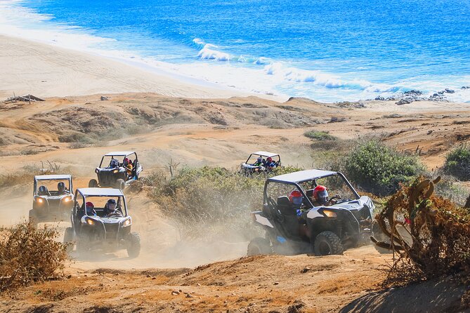 UTV Adventure with Free Camel Ride and Sky Bikes - The camel ride along the beach