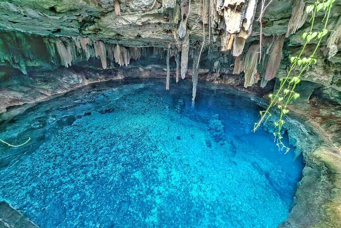 Uxmal, two Amazing Cenotes & Local Food Tour from Mérida - Key points at a glance