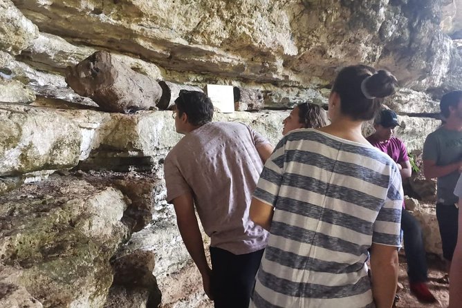 Valladolid Mayan Bees Tour with Lunch or breakfast and Honey Tasting - Why the dry cenote is the highlight