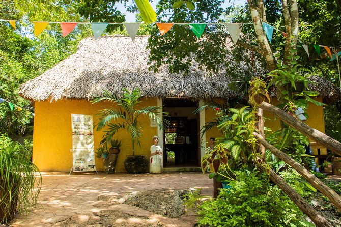 Valladolid Mayan Bees Tour with Lunch or breakfast and Honey Tasting - Breakfast or lunch makes the short visit better value