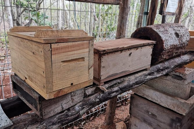 Valladolid Mayan Bees Tour with Lunch or breakfast and Honey Tasting - How long the tour takes and how the group size helps