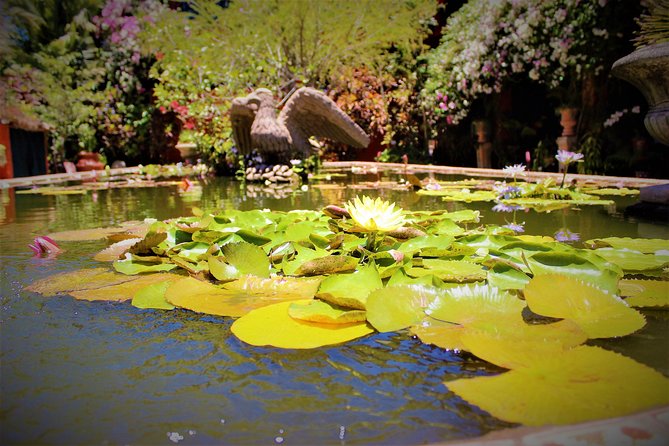 Vallarta Botanical Garden and Tequila Tasting from Puerto Vallarta - How much guiding will you get inside the garden?