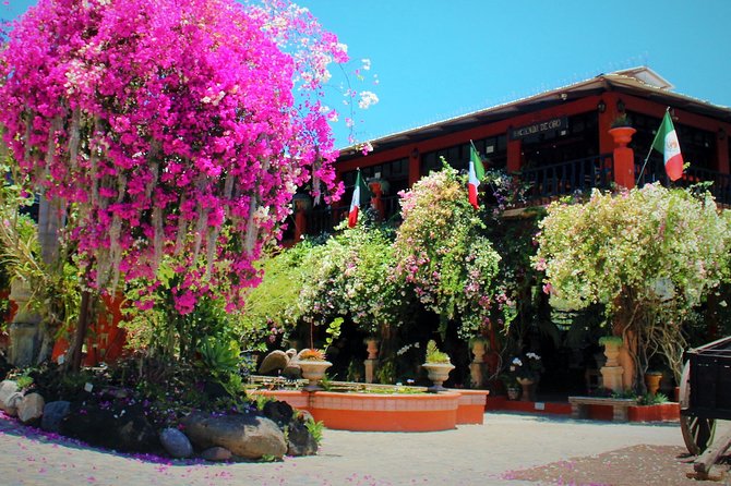 Vallarta Botanical Garden and Tequila Tasting from Puerto Vallarta - What happens at Summer’s Ranch