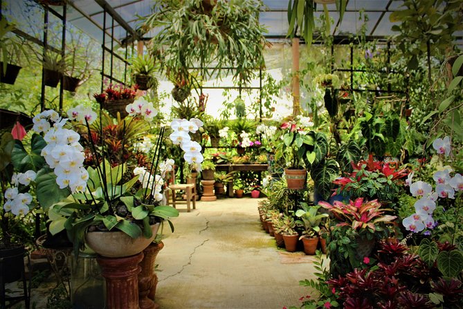 Vallarta Botanical Garden and Tequila Tasting from Puerto Vallarta - The road south takes patience