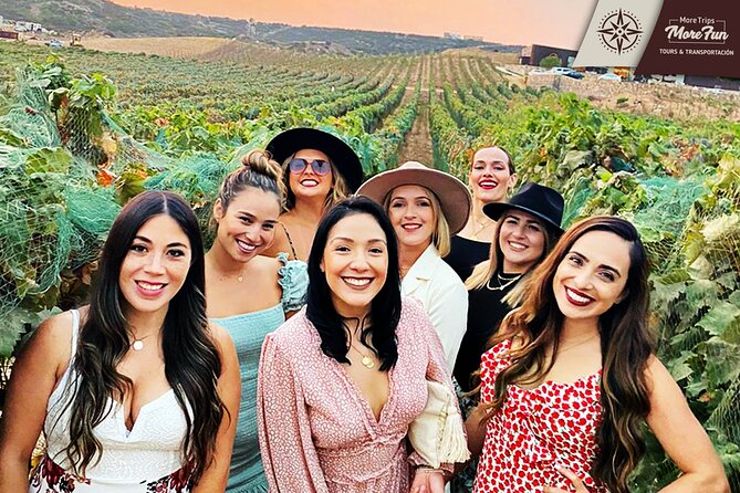 Valle de Guadalupe winery and brewery tours - Booking details that matter