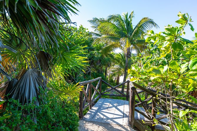 Viator Exclusive: Tulum Ruins, Reef Snorkeling, Cenote and Caves - Is $129 a good value?