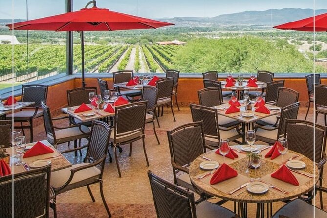Vineyard, tour, tasting and fun in San Miguel de Allende - Why this vineyard outing is worth considering