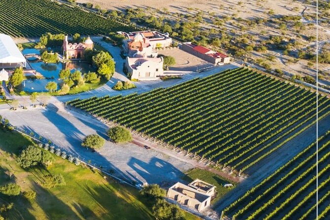 Vineyard, tour, tasting and fun in San Miguel de Allende - A short lesson in Mexican wine