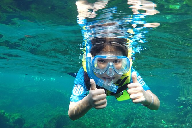 VIP Cenotes Private Tour - Why a private cenote day works so well