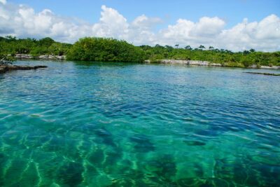 VIP Cenotes Private Tour